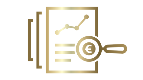 Financial annual reports