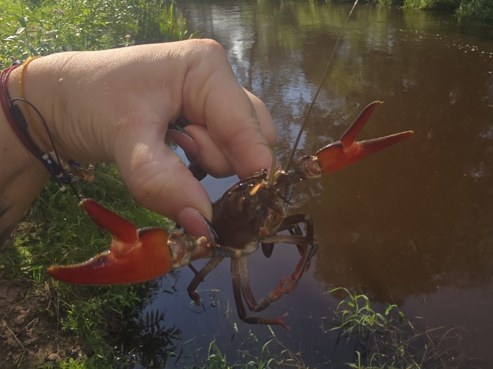 Vasaras piedzīvojumu konkurss 2025.