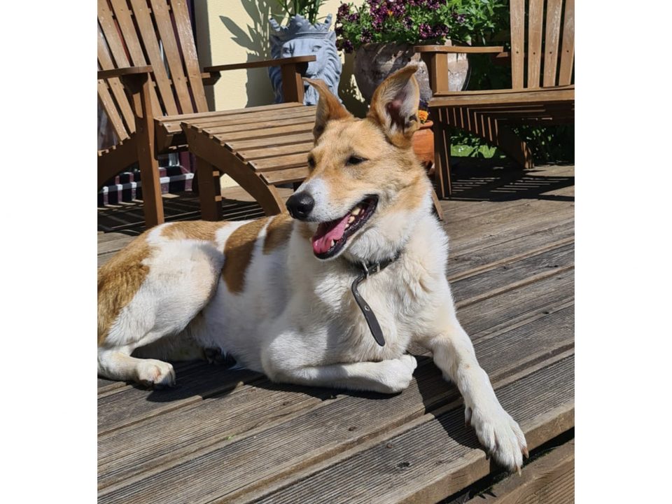 Vasaras piedzīvojumu konkurss 2025.