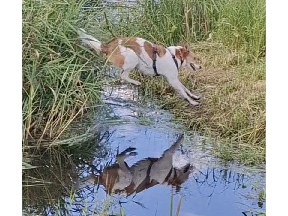 Vasaras piedzīvojumu konkurss 2025.