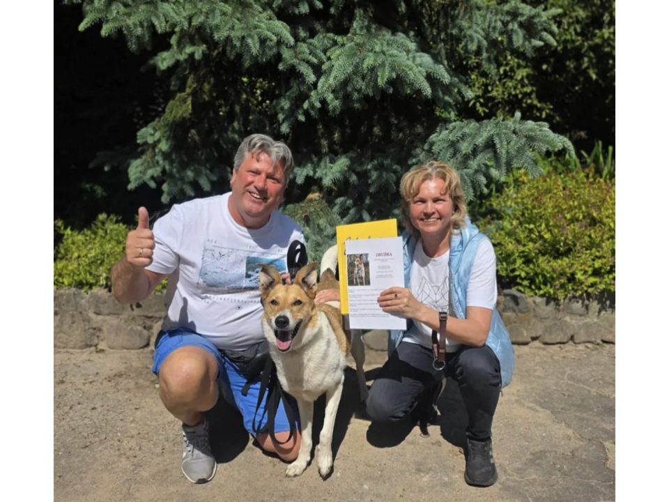 Vasaras piedzīvojumu konkurss 2025.