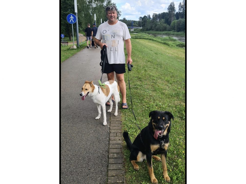 Vasaras piedzīvojumu konkurss 2025.